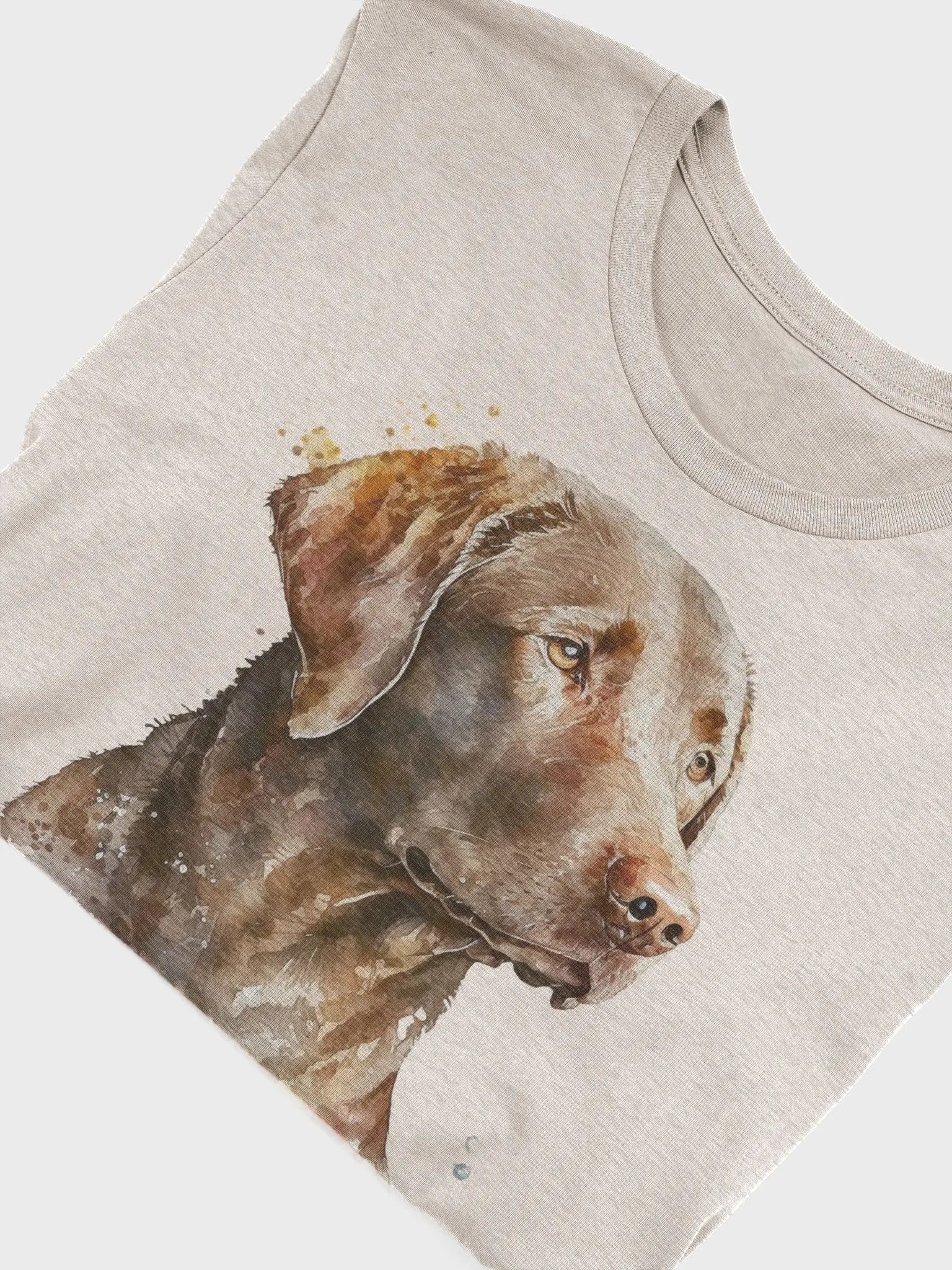 Chesapeake Bay Retriever product image (3)