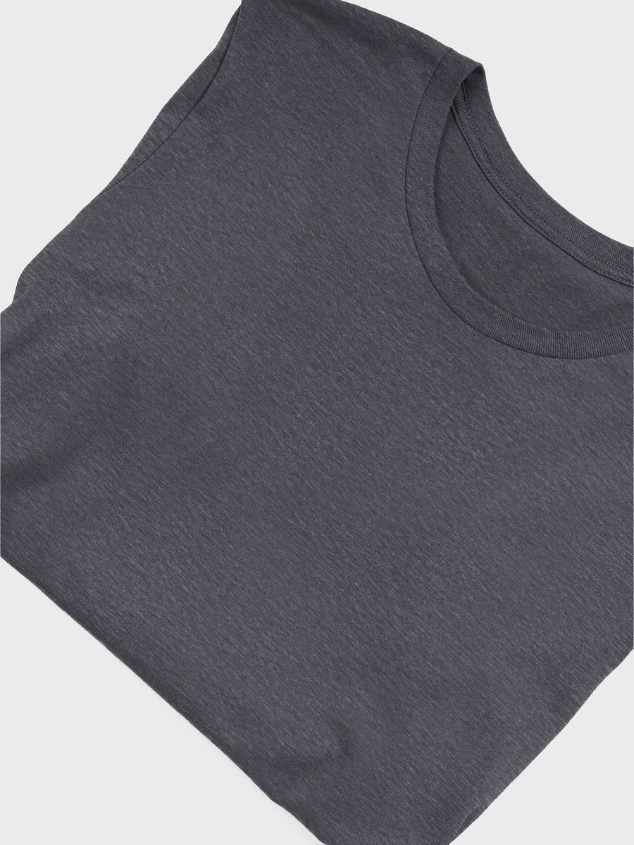 Zebo CHI or DIE Back Logo Tee product image (38)