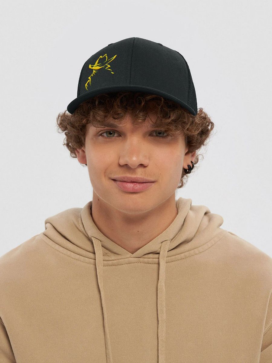 Gold Rush Snapback product image (17)