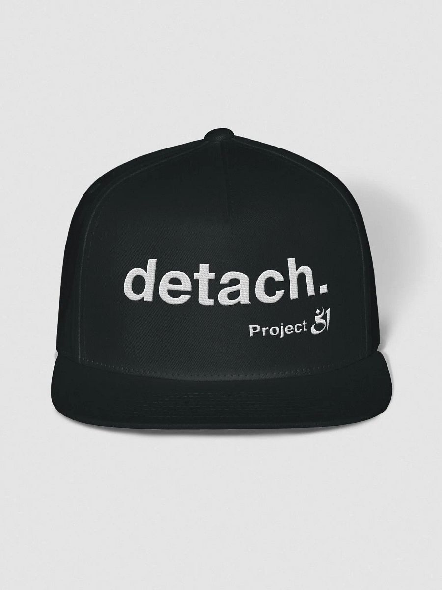 detach. snapback product image (1)