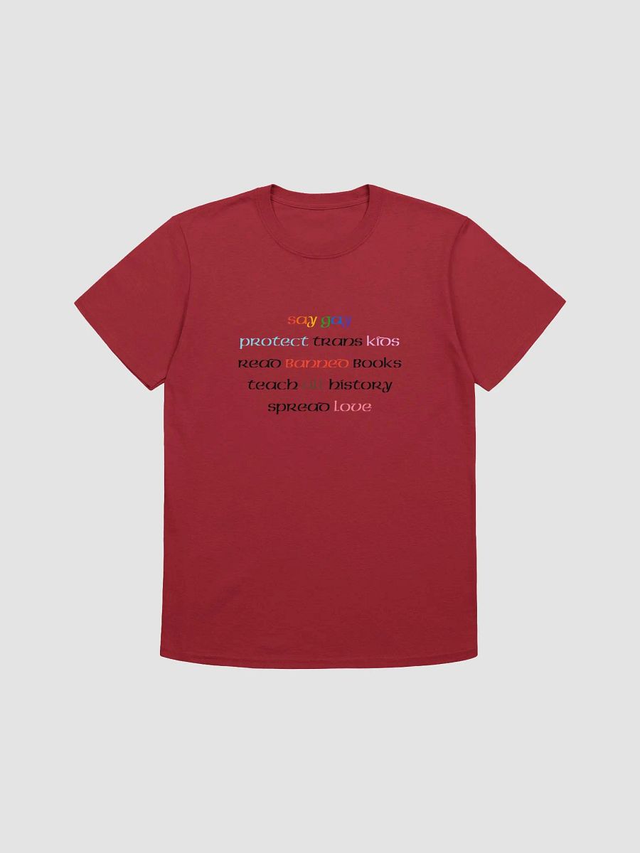 Say Gay Tee product image (1)