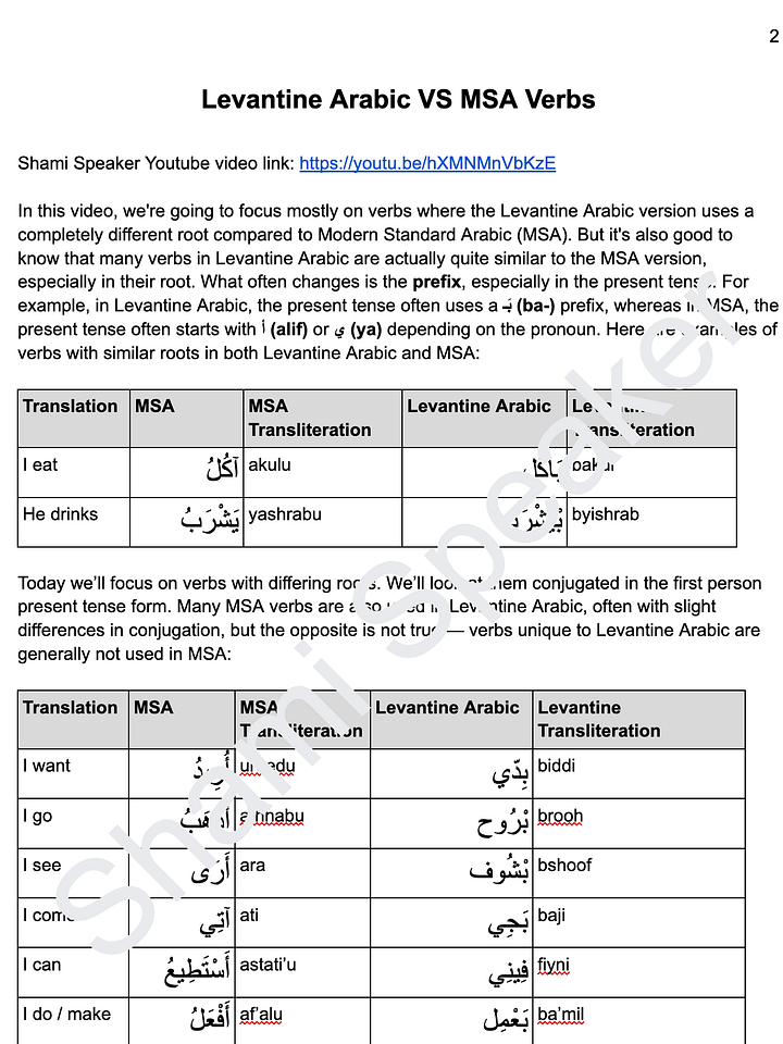 Levantine Arabic VS MSA Verbs product image (2)