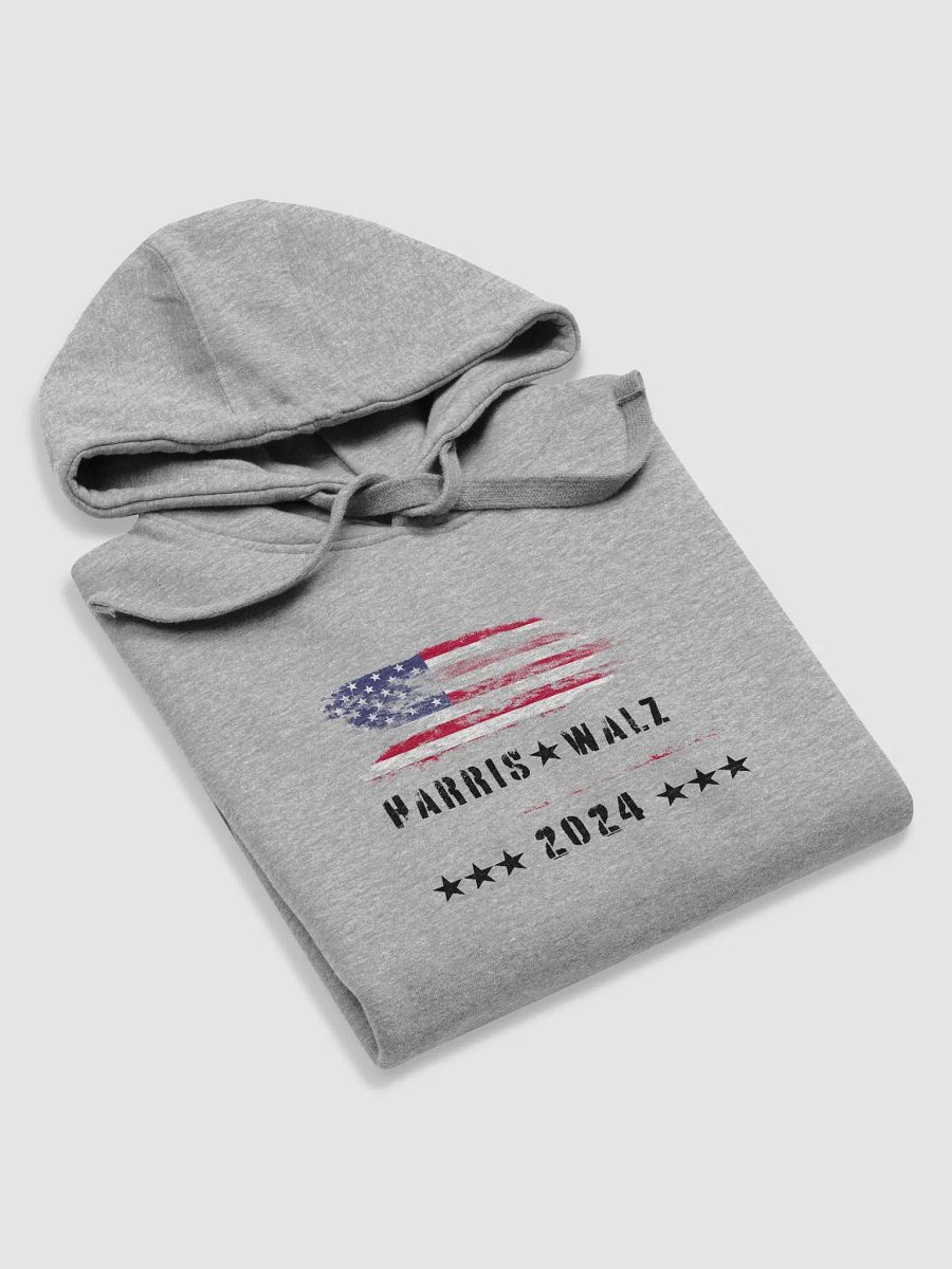 Harris-Walz Unity Hoodie product image (38)