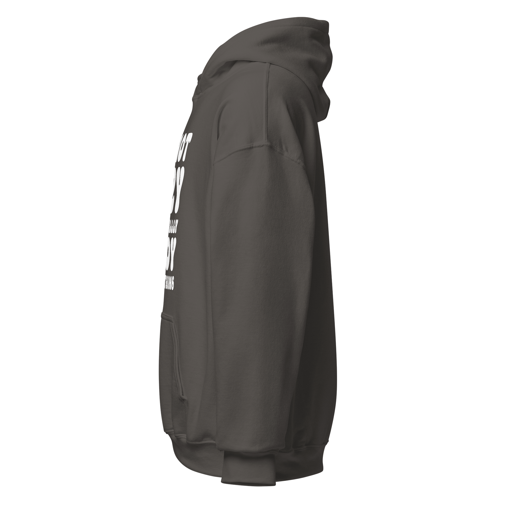 Im Not Lazy I Just Really Enjoy Doing Nothing Classic Hoodie product image (23)