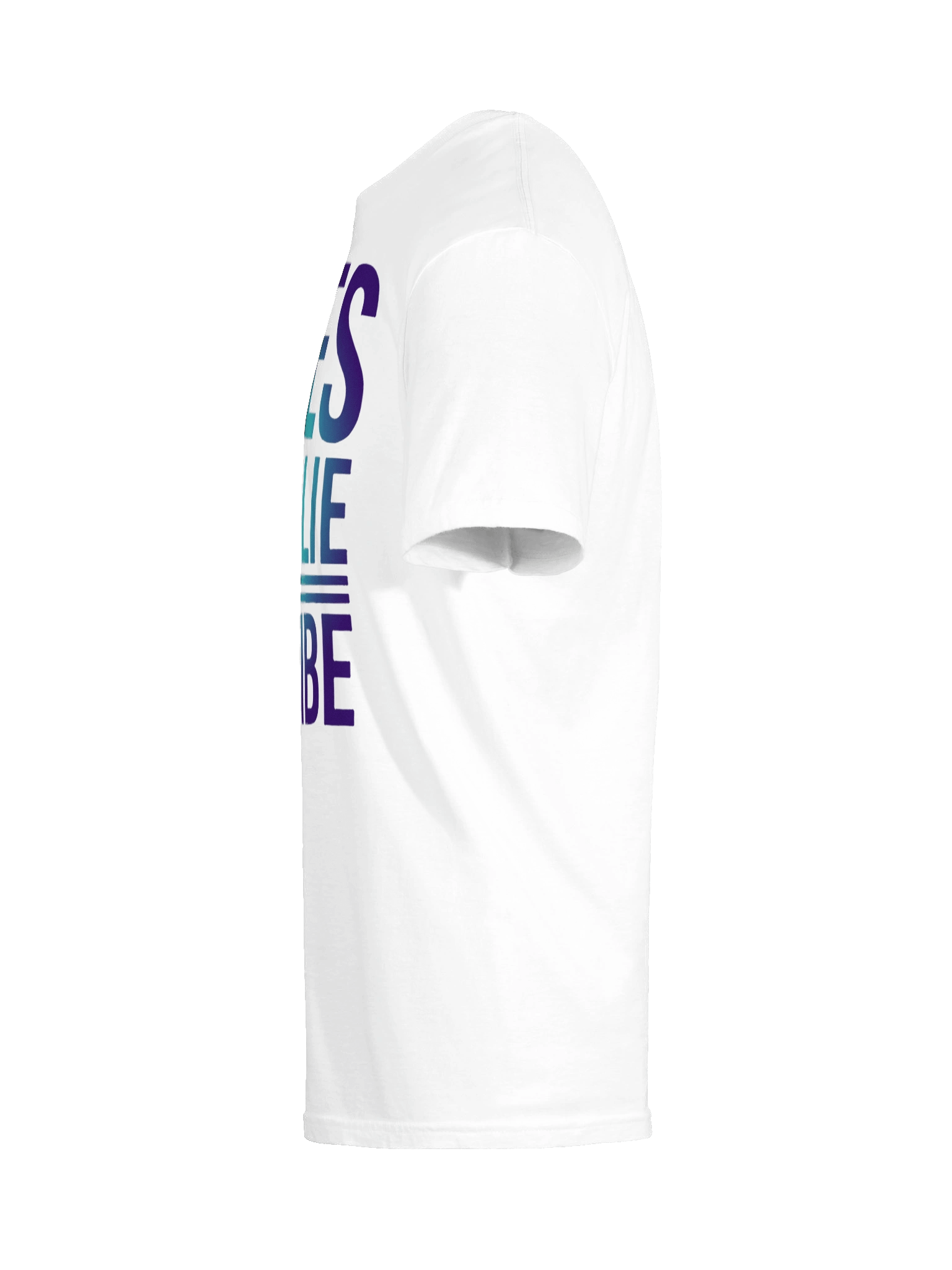 VIBES DON’T LIE, TRUST THE VIBE - Bold Breeze Graphic T-Shirt product image (6)