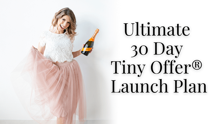 Ultimate 30 Day Tiny Offer® Launch Plan product image (1)