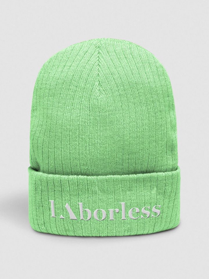 Eco Ribbed Knit Beanie: Atlantis Edition product image (4)