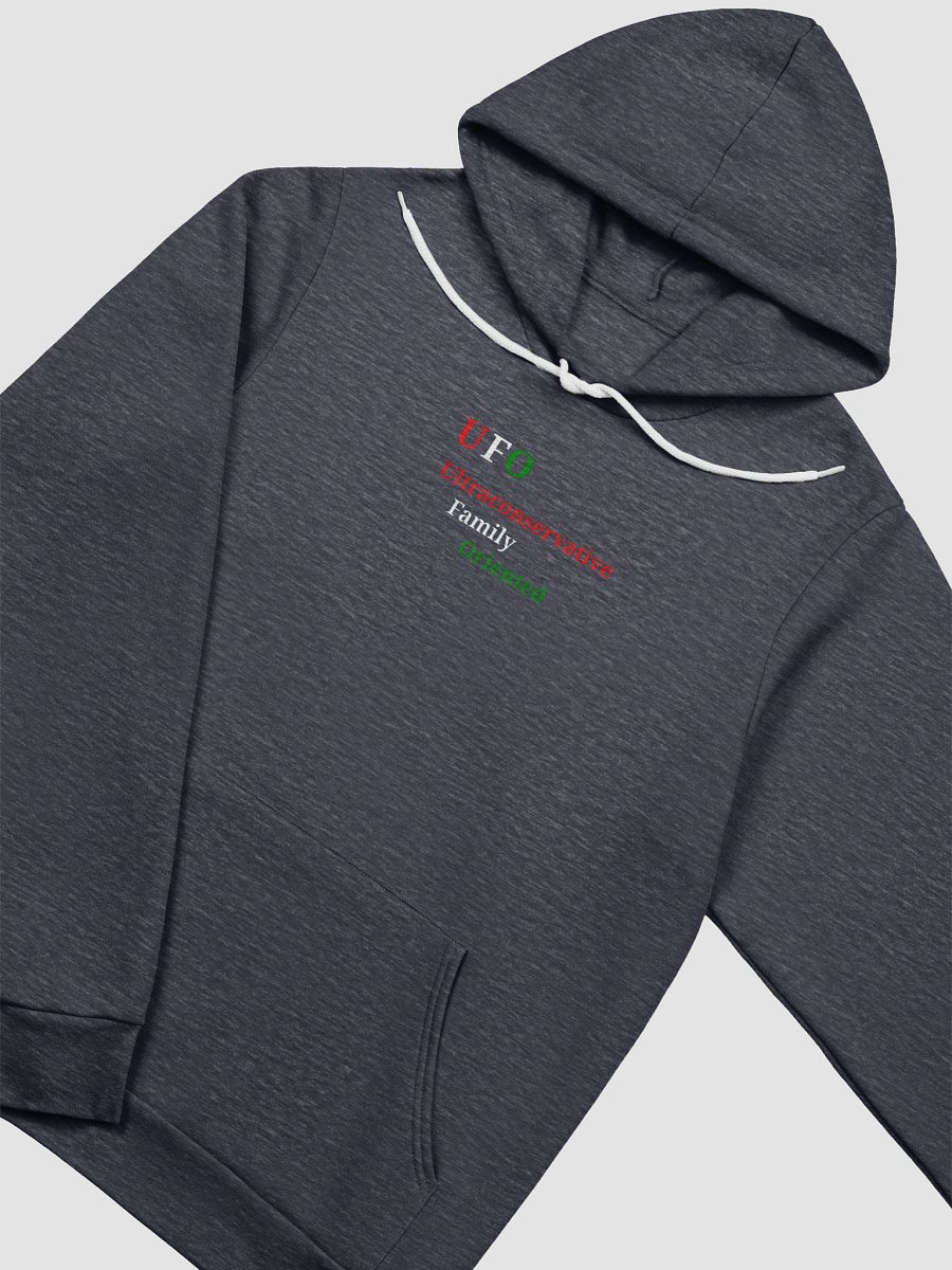 UFO Ultraconservative Family Oriented Hoodie product image (3)