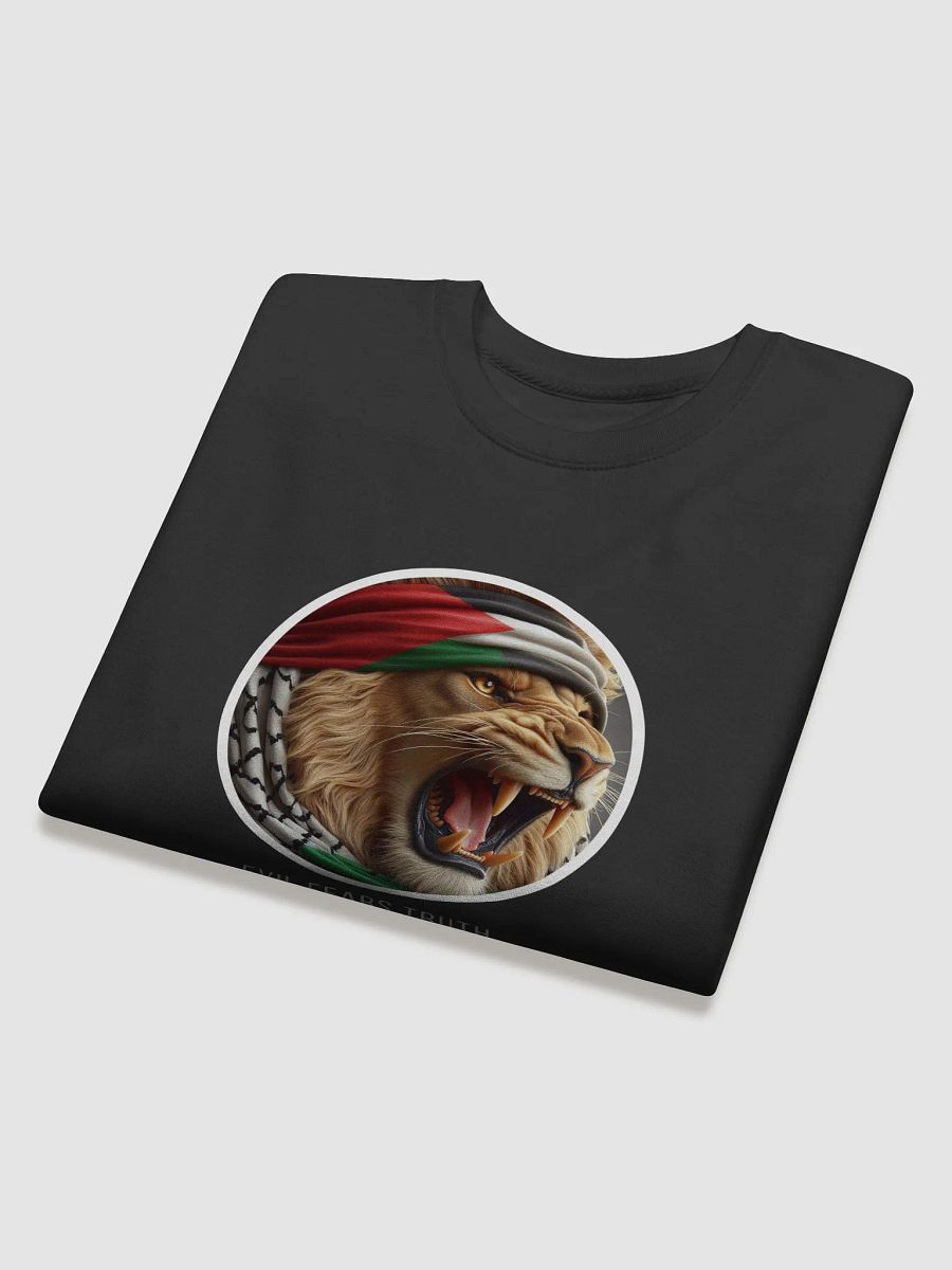 Midnight Black Premium Sweatshirt | evil fears truth and truth says free palestina product image (18)