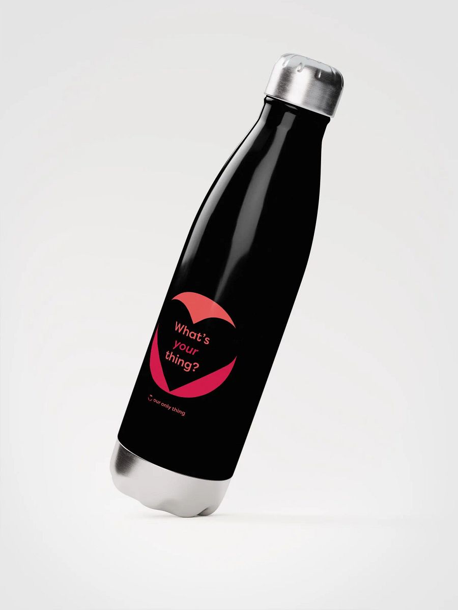 What's Your Thing 17oz Stainless Water Bottle product image (2)