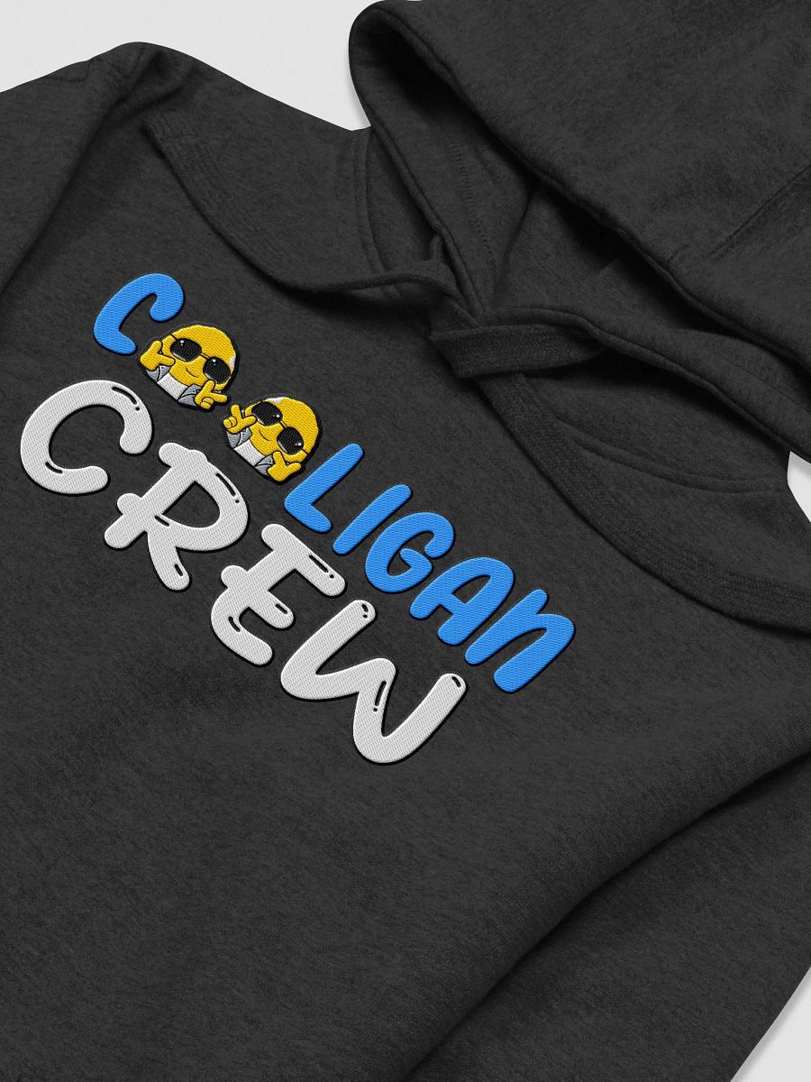 Liz XP Cooligan Crew Embroidered Hoodie product image (1)