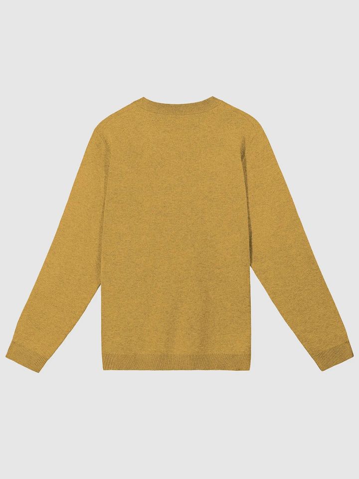 BUSY-BRAINED (duotone orange) knitwear classic crewneck product image (7)