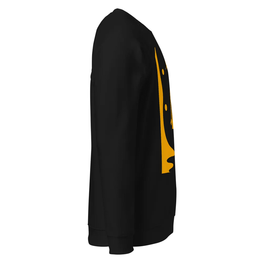 SOL'S Unisex Organic Raglan Sweatshirt product image (4)