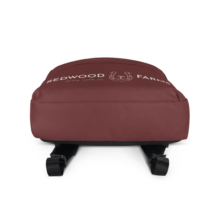 Back packs product image (4)
