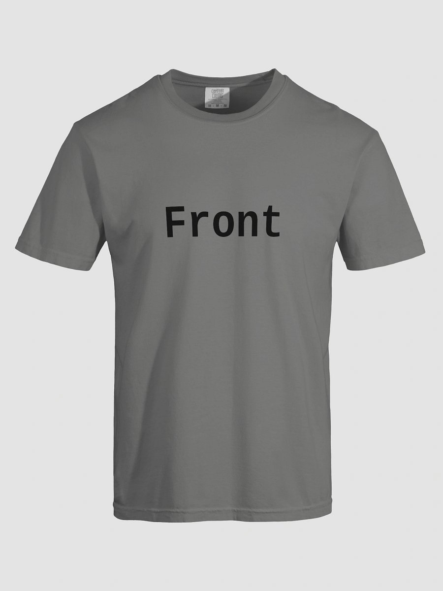 Front Back Heavyweight Tee - Correct - Light Color product image (64)