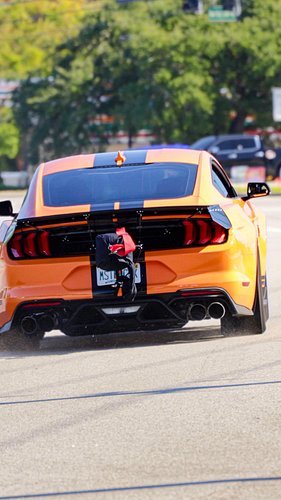 This car means business! 

#mustang #gt500 #carspotting #dragracing