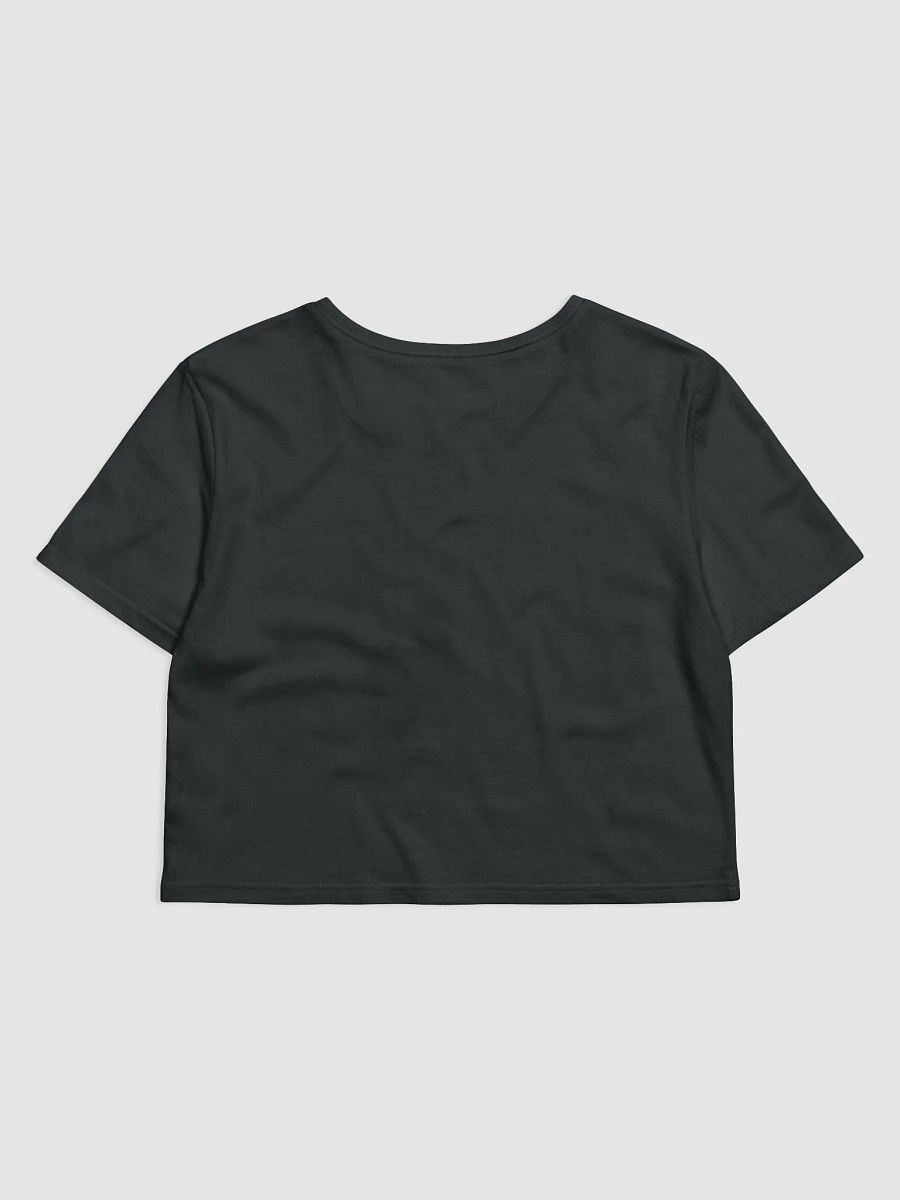 DavelHouse Black Crop Top product image (2)