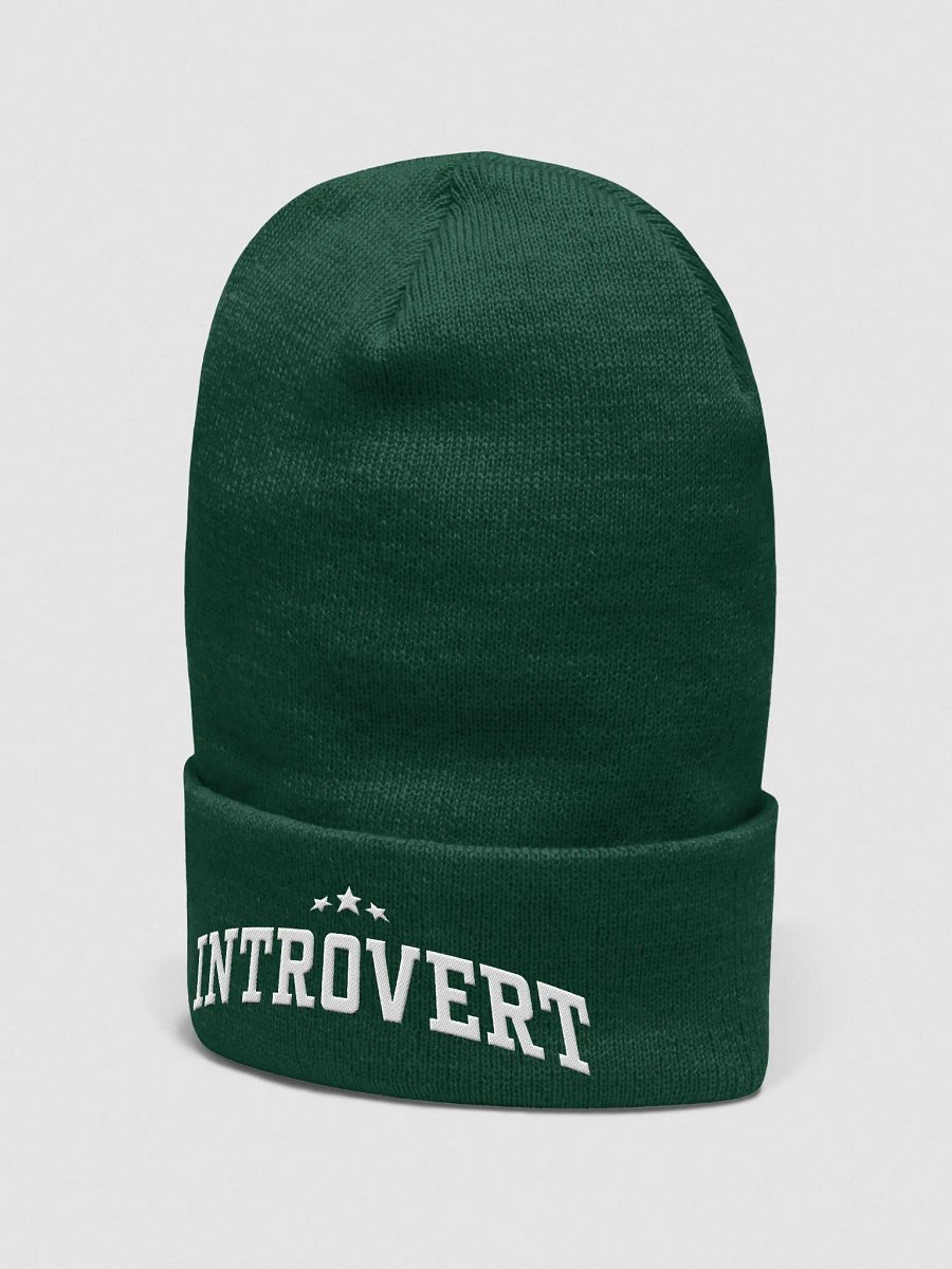 Introvert (Yupoong Cuffed Beanie) product image (32)