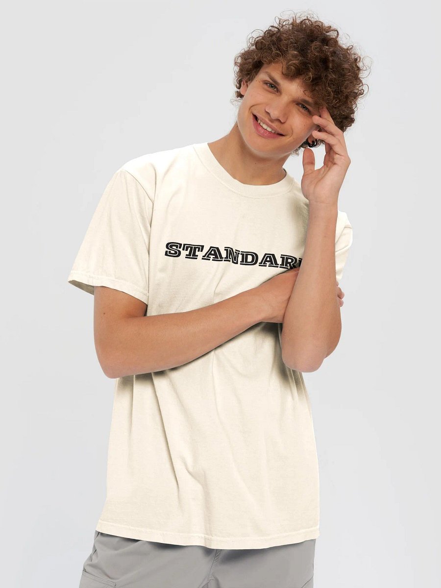 Standard Men's T-Shirt product image (38)