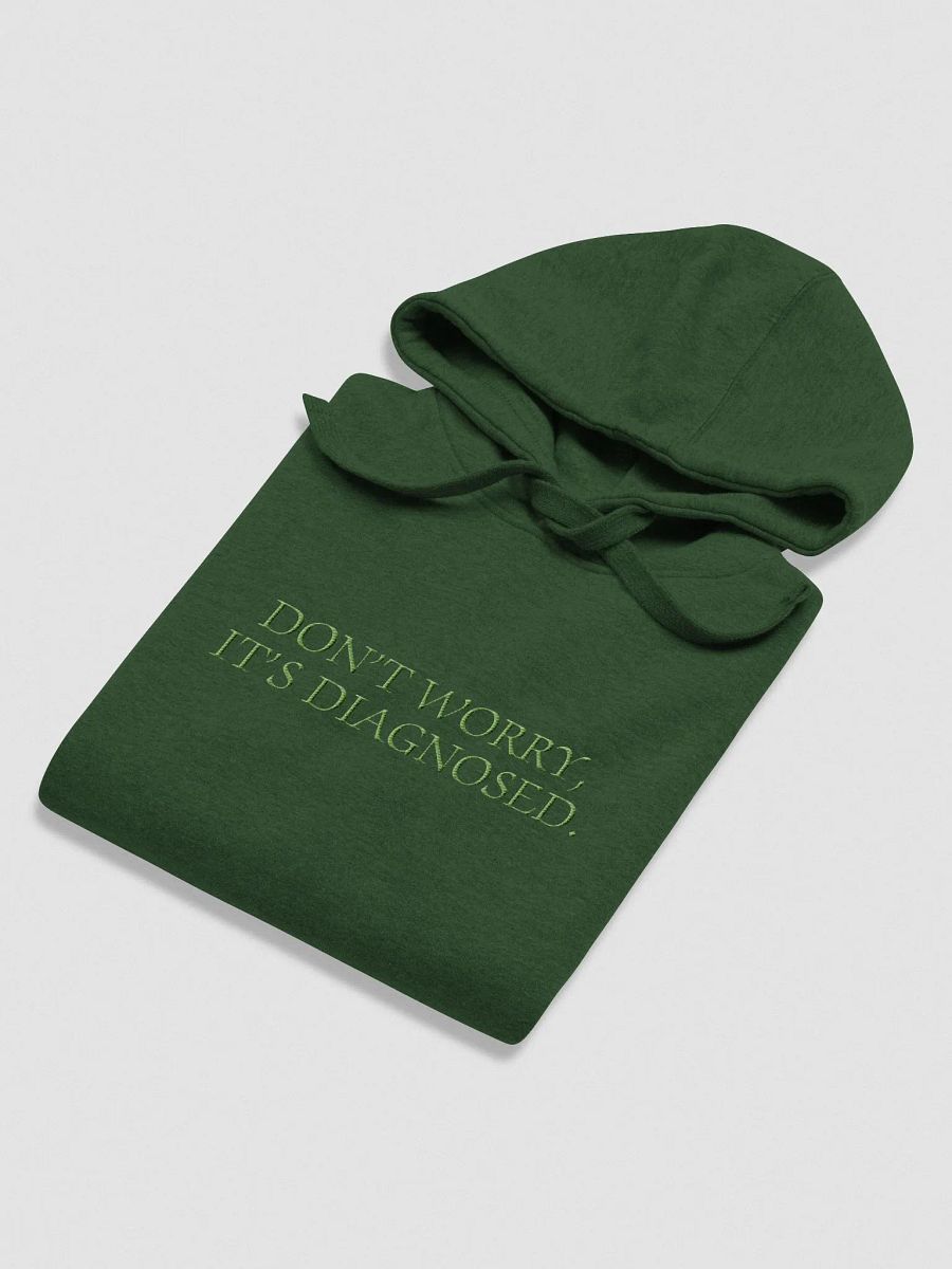 DW, IT'S DIAGNOSED. (monochrome green) embroidered heavyweight hoodie product image (4)