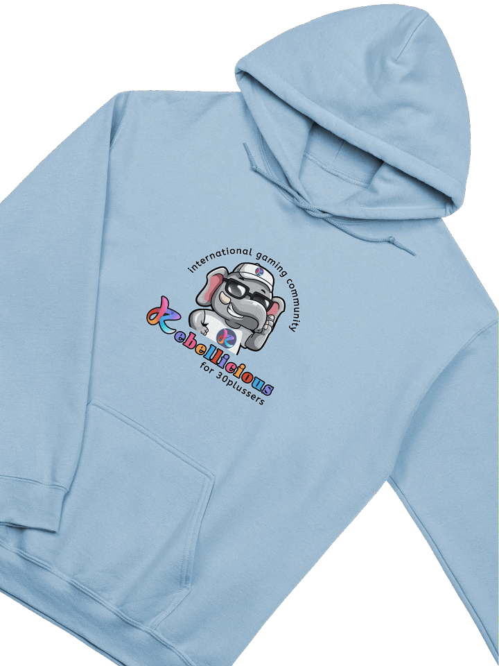 Gildan Classic Hoodie product image (2)