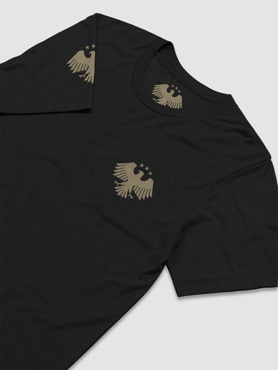 Hawk Emblem Tri-Blend Tee | Syria 2025 product image (16)
