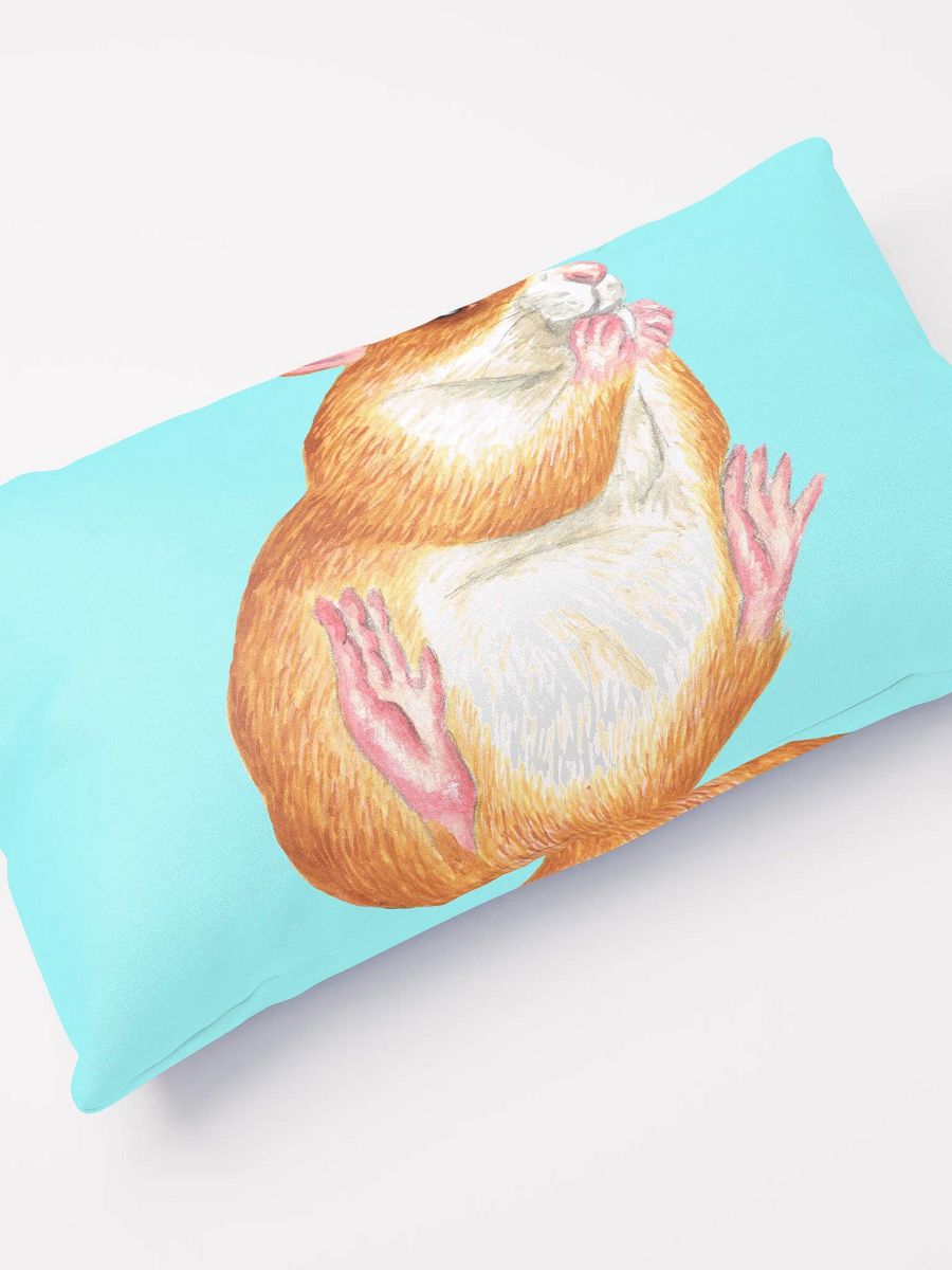 rat eating treat pillows product image (5)