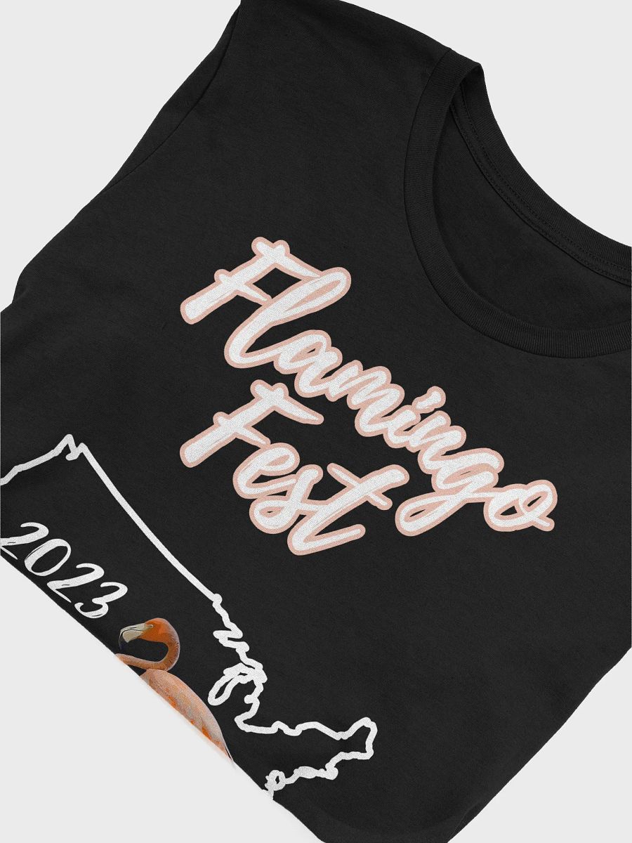 Flamingo Fest T-shirt product image (5)