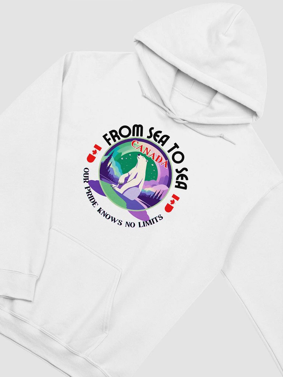 Northern Lights Bear Canada Hoodie product image (3)