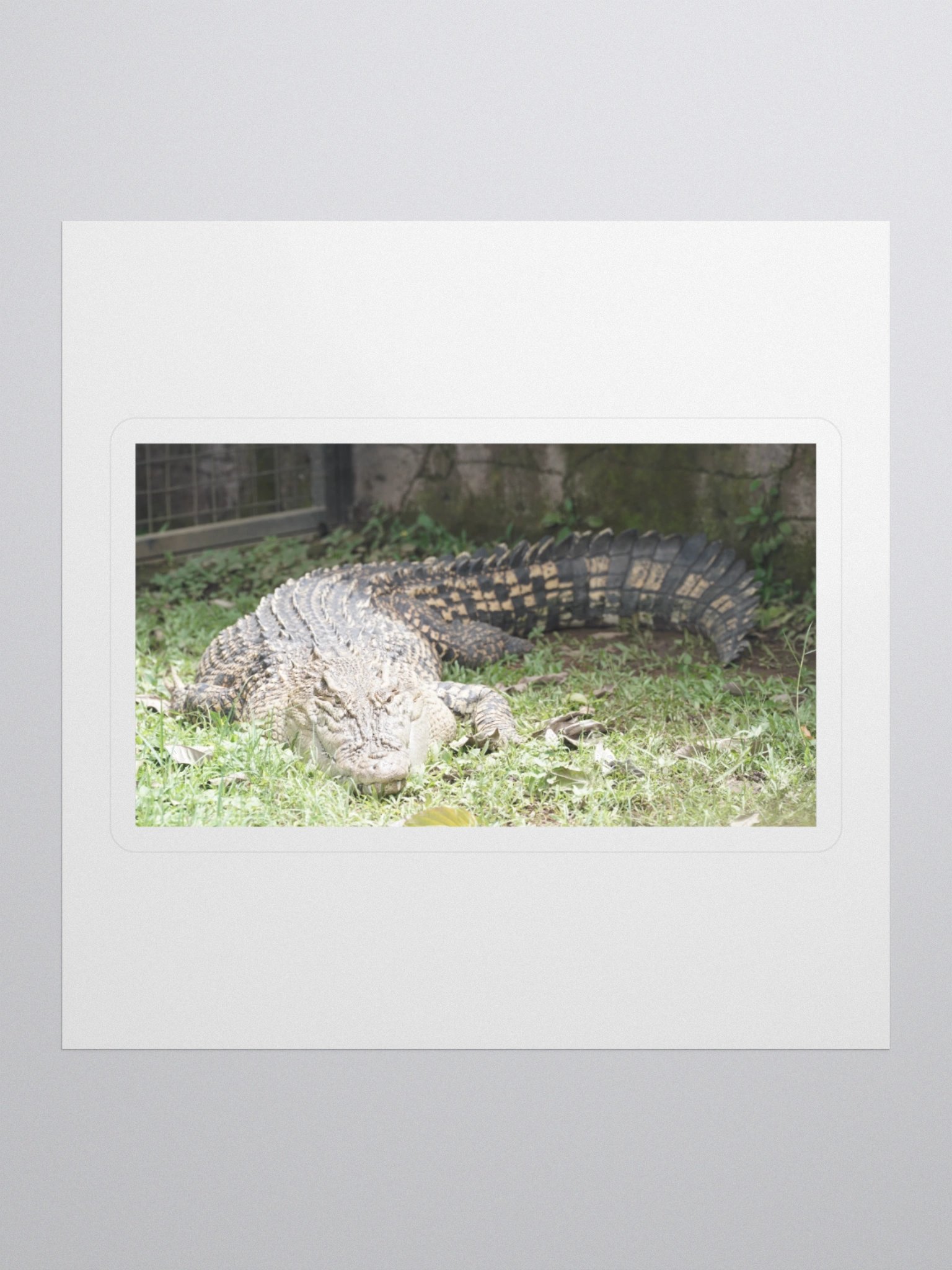 Majestic Crocodile Kiss Cut Stickers product image (1)