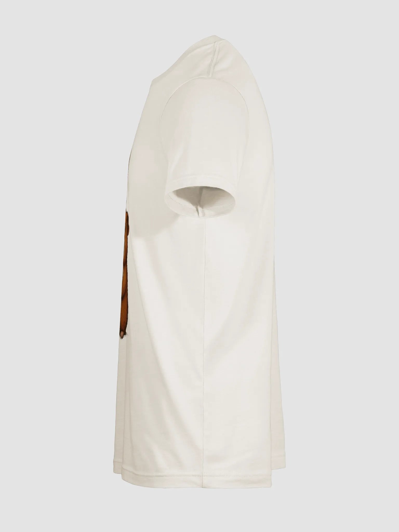 GUINEA NATION: NO MÁS T-Shirt product image (47)