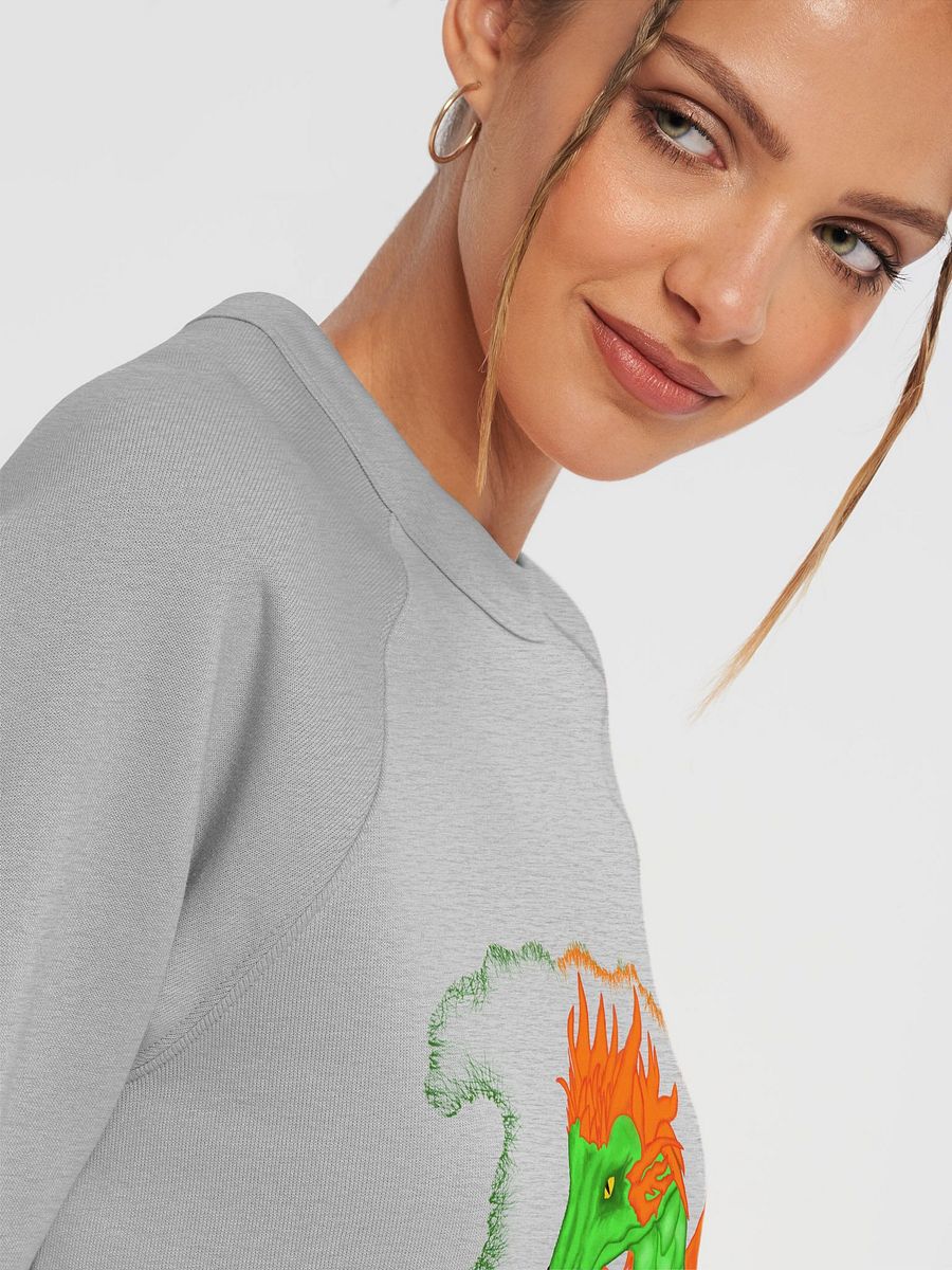 Dragon's Fury Raglan Sweatshirt product image (7)