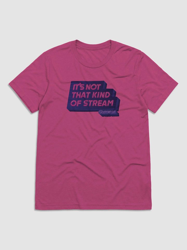 [It's Not That Kind Of Stream] BELLA CANVAS TEE product image (2)