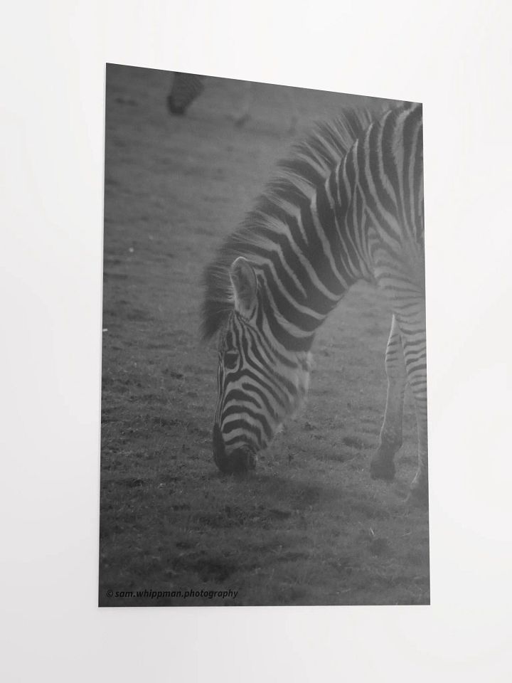 Zebra Prints product image (2)