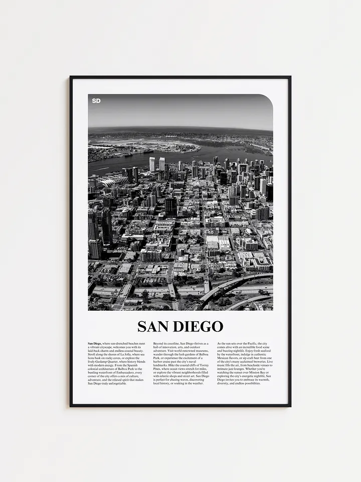 San Diego 01 Newspaper Poster product image (1)