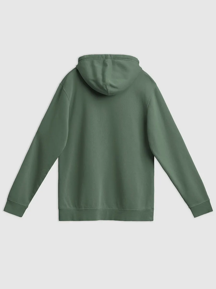 BUSY-BRAINED (lined design, #96B697) printed pigment hoodie product image (25)