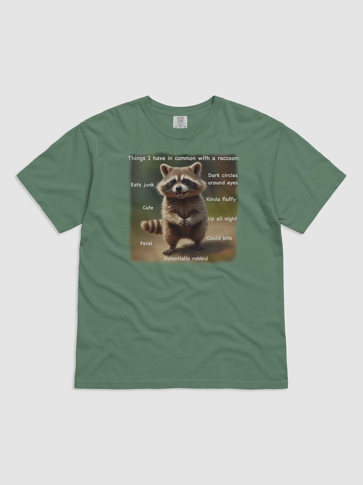Raccoon Vibes Heavyweight Tee product image (65)