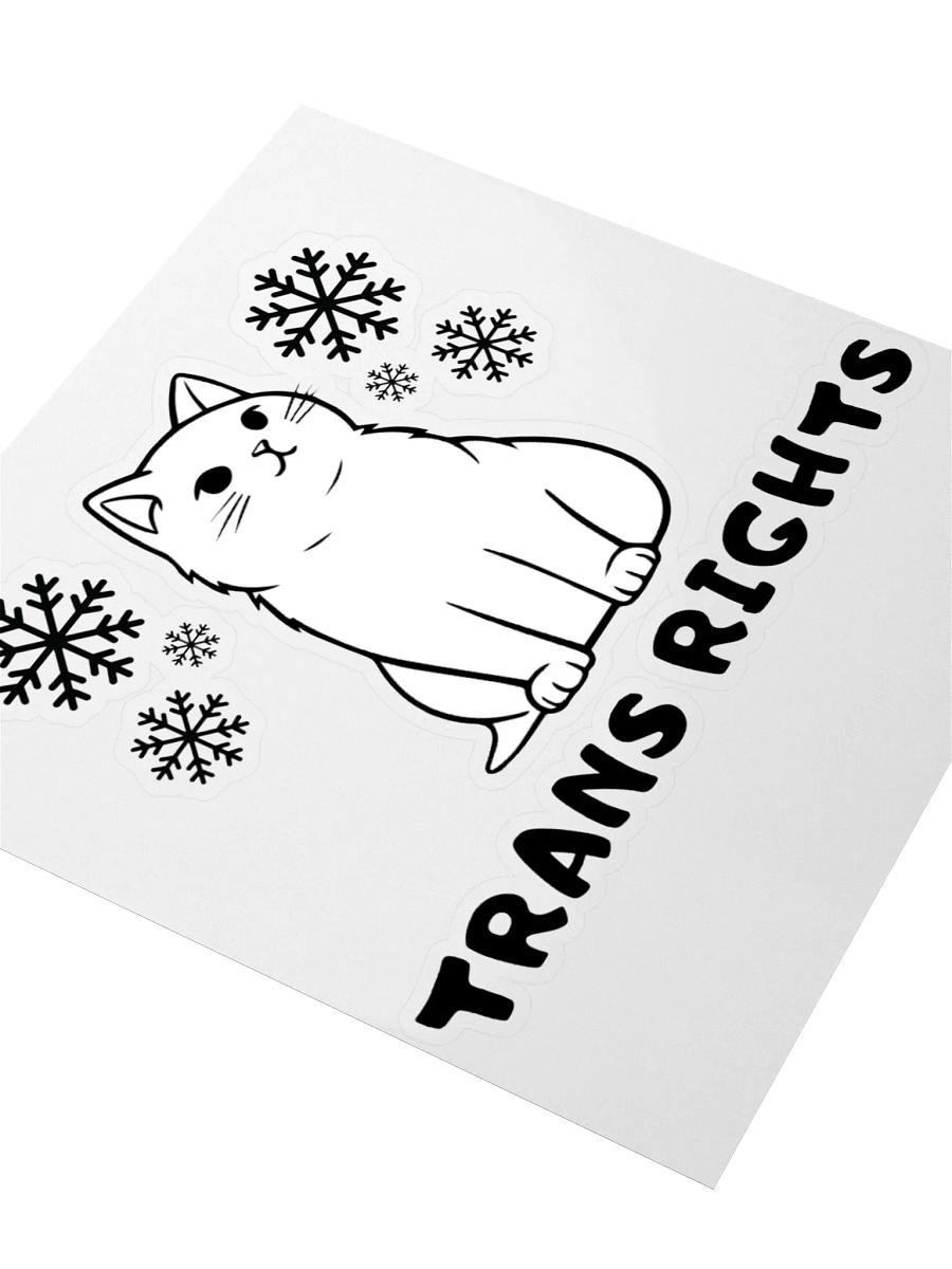 Trans Rights Cat Sticker With Snowflakes product image (3)