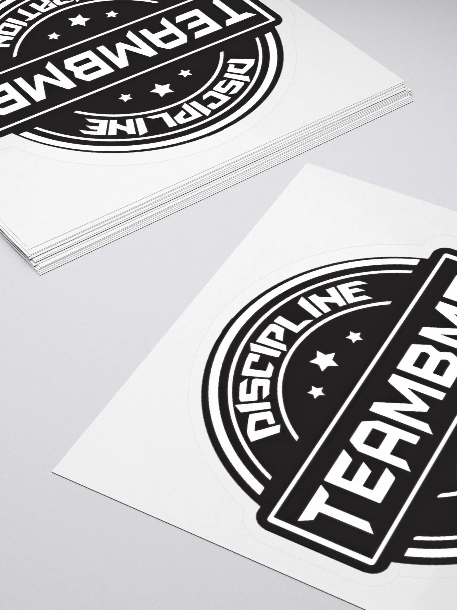 Discipline & Inspiration Kiss Cut Stickers product image (4)