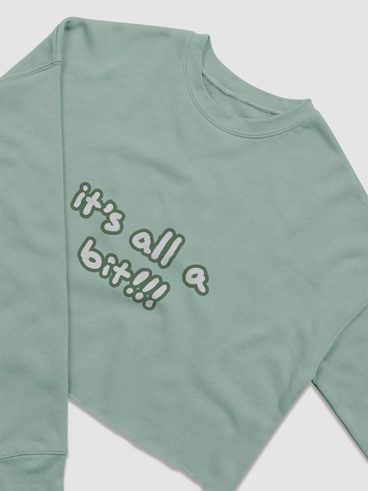 “It’s all a bit!!!” (sm. lined design, #527453) Women's Fleece Crop Sweatshirt product image (9)