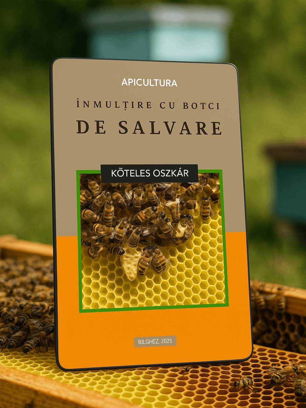 Apicultura - Înmulțirea albinelor cu botci de salvare product image (3)