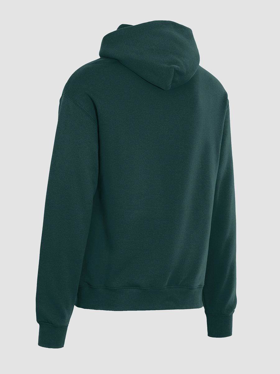 Flavorful Oversized Hoodie product image (20)