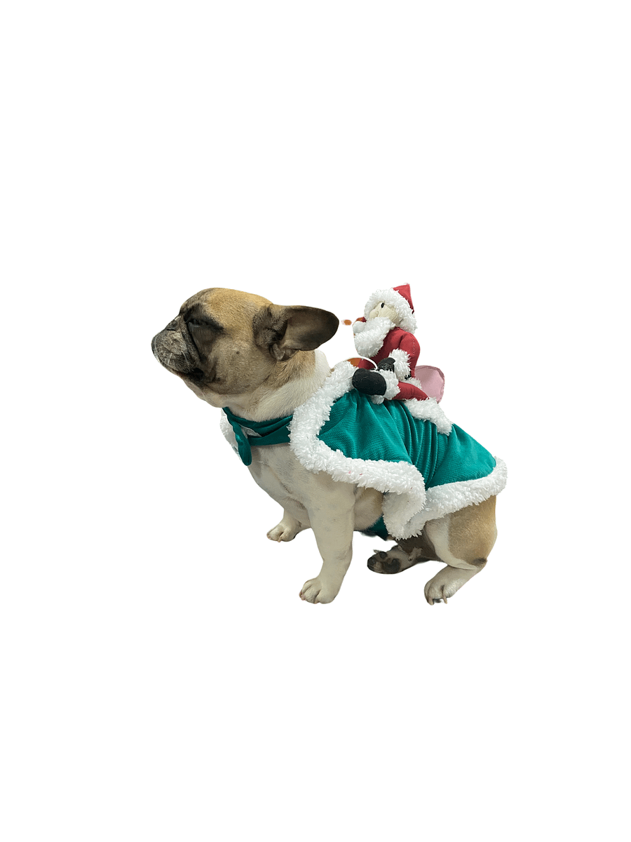 Fantasia Trenó Mágico - Modelagem Pet PDF product image (3)