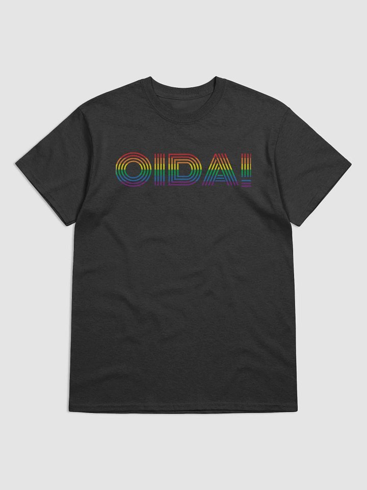 OIDA! Pride T-Shirt | EU & US product image (1)