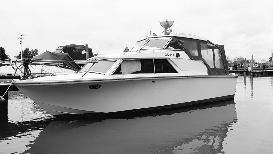 PRIVATE BOAT TOUR on vintage Cabin Cruiser product image (5)