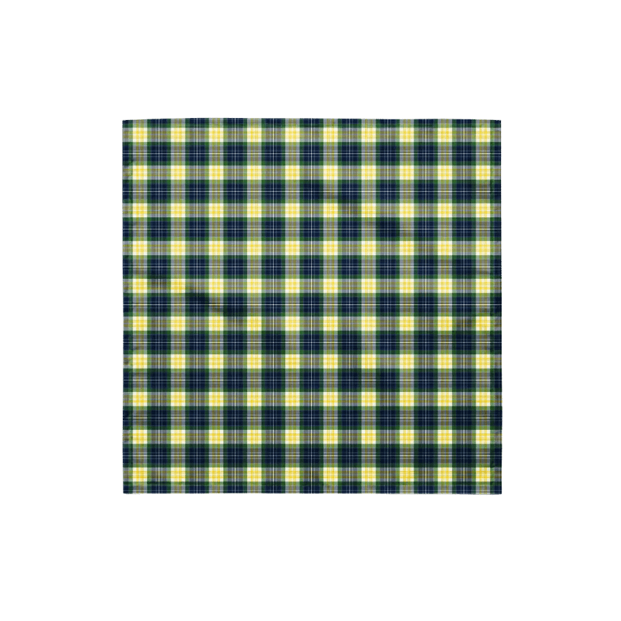 Fitzpatrick Tartan Bandana product image (4)