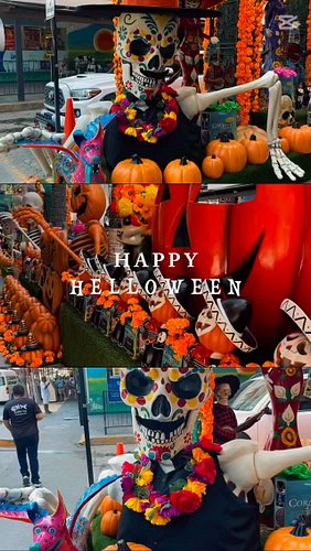 Happy Halloween 🎃 

.
.

#puertovallarta #halloween #díadelosmuertos #halloweendecoration #nakedyoga