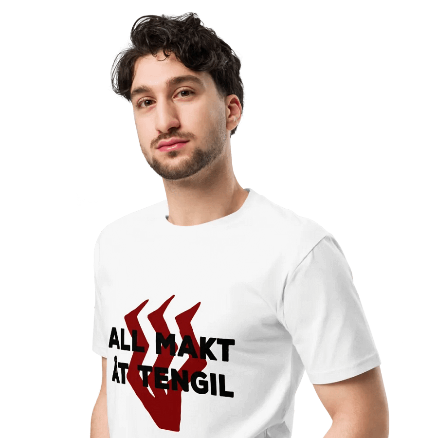 All makt åt Tengil product image (4)