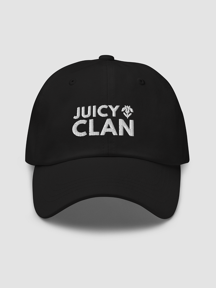 Embroidered Dad Hat - JUICY CLAN product image (2)