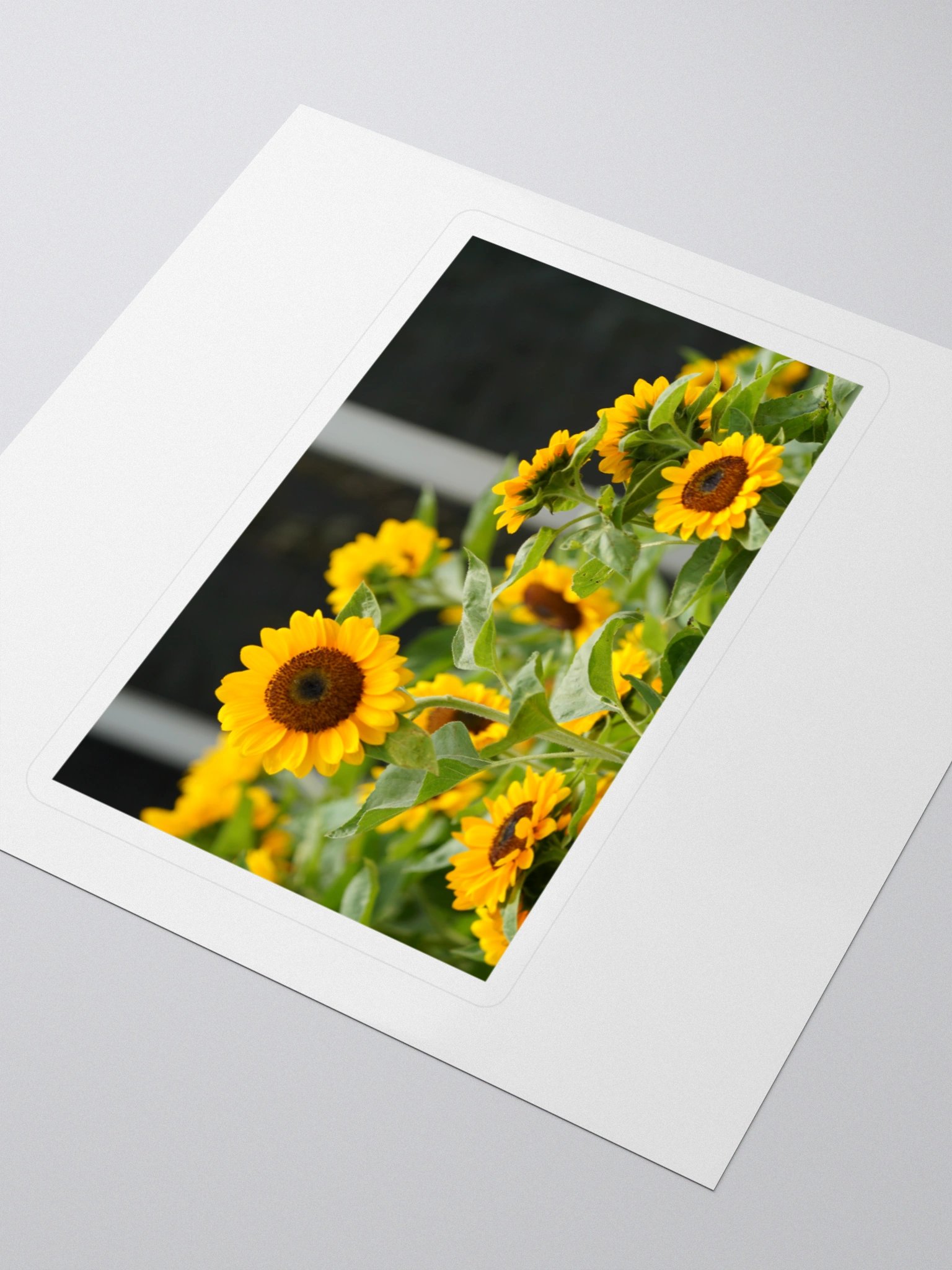 Sunflower Serenade Kiss Cut Stickers product image (3)